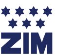 Logos_Novapproach_0009_ZIM_Icon_300x300